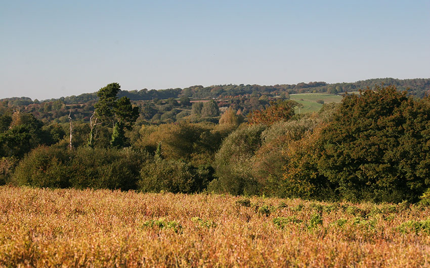 West Stafford Fields